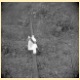 foto_19