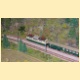 prerov_20.jpg