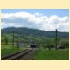 zd2008_06.jpg