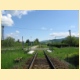 zd2008_07.jpg