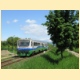 zd2008_16.jpg